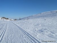 DSCN1794