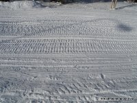 DSCN1807