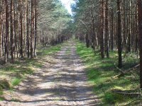 WanderWeg.1